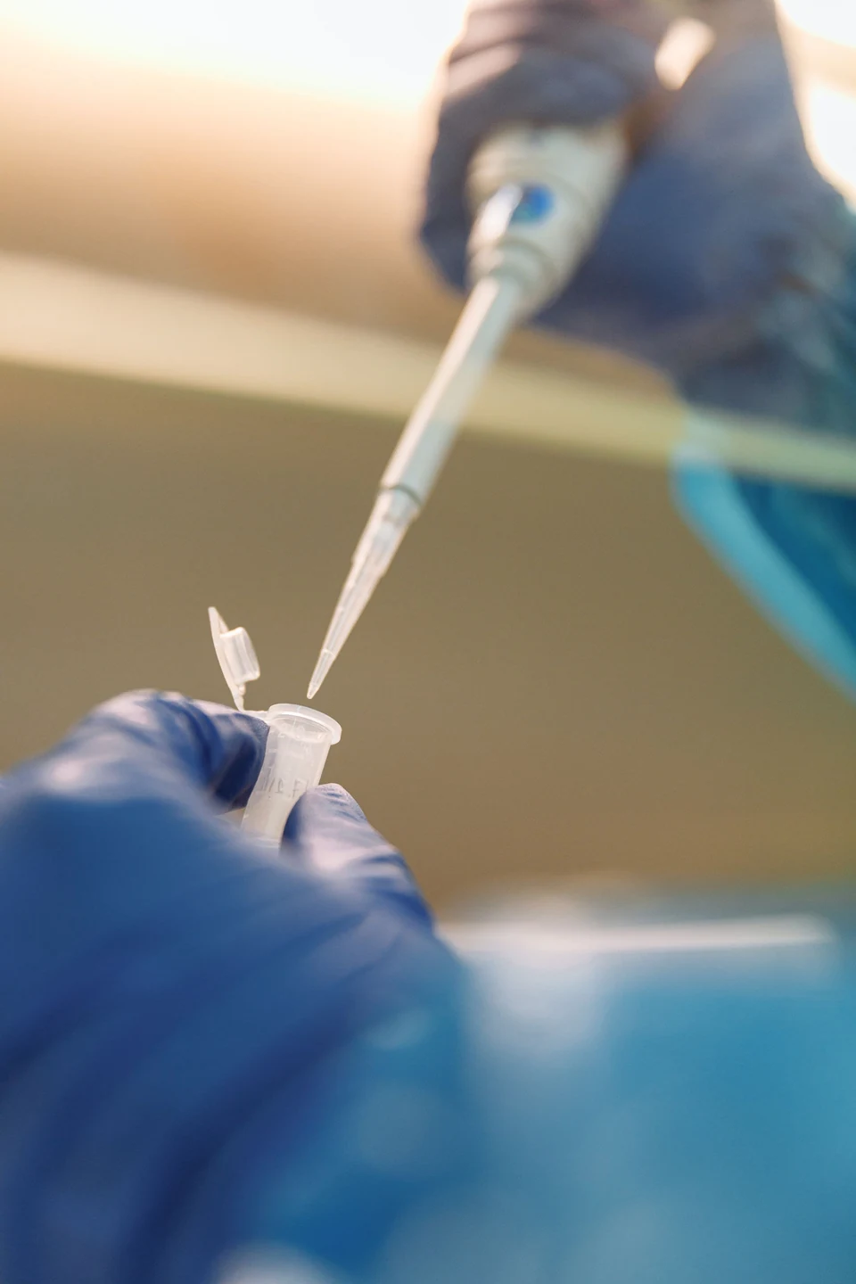 Gloved laboratory worker using a disposable pipette tip with an open sample tube