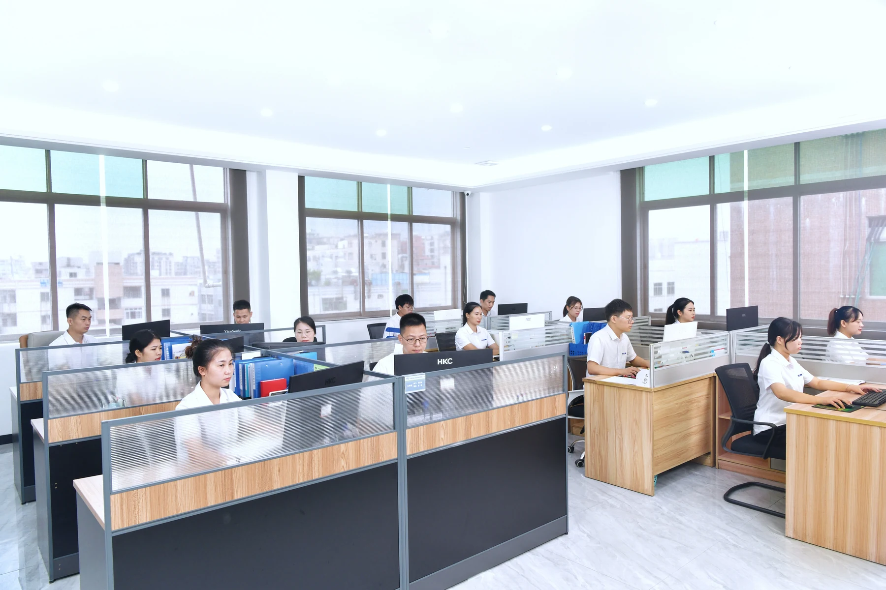 SENLAN office colleagues at work